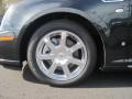 Black Ice - STS V8 Photo No. 16