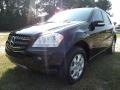 Black - ML 350 4Matic Photo No. 2