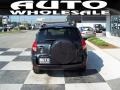 Flint Mica - RAV4 Sport Photo No. 3
