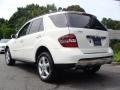 Arctic White - ML 350 4Matic Photo No. 7