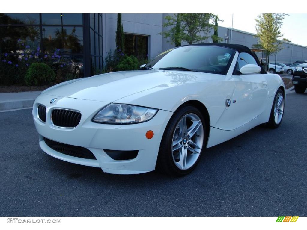 2008 M Roadster - Alpine White / Dark Sepang Brown photo #8