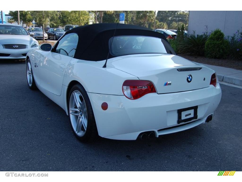 2008 M Roadster - Alpine White / Dark Sepang Brown photo #13