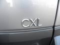 Platinum Metallic - Rendezvous CXL AWD Photo No. 14