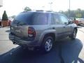 Graystone Metallic - TrailBlazer LS 4x4 Photo No. 3