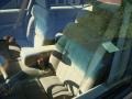 Light Driftwood Metallic - Lumina Sedan Photo No. 8