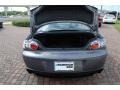 Galaxy Gray Mica - RX-8  Photo No. 11