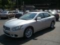 Radiant Silver Metallic - Maxima 3.5 SV Photo No. 5