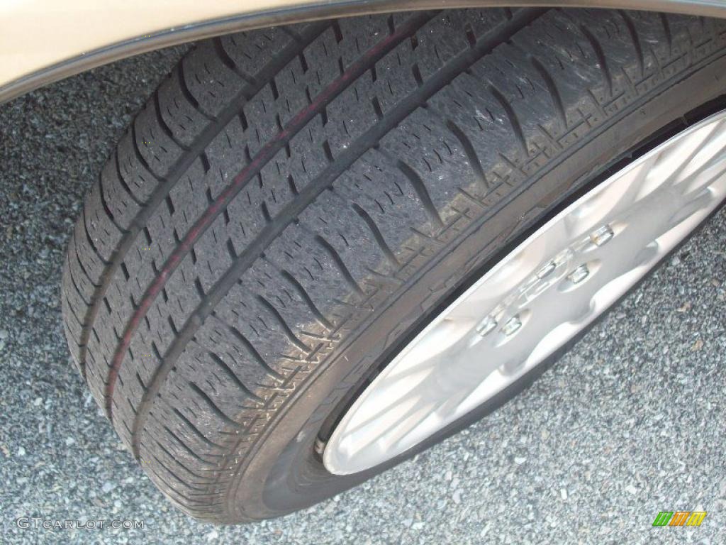 2006 Accord Value Package Sedan - Desert Mist Metallic / Ivory photo #4