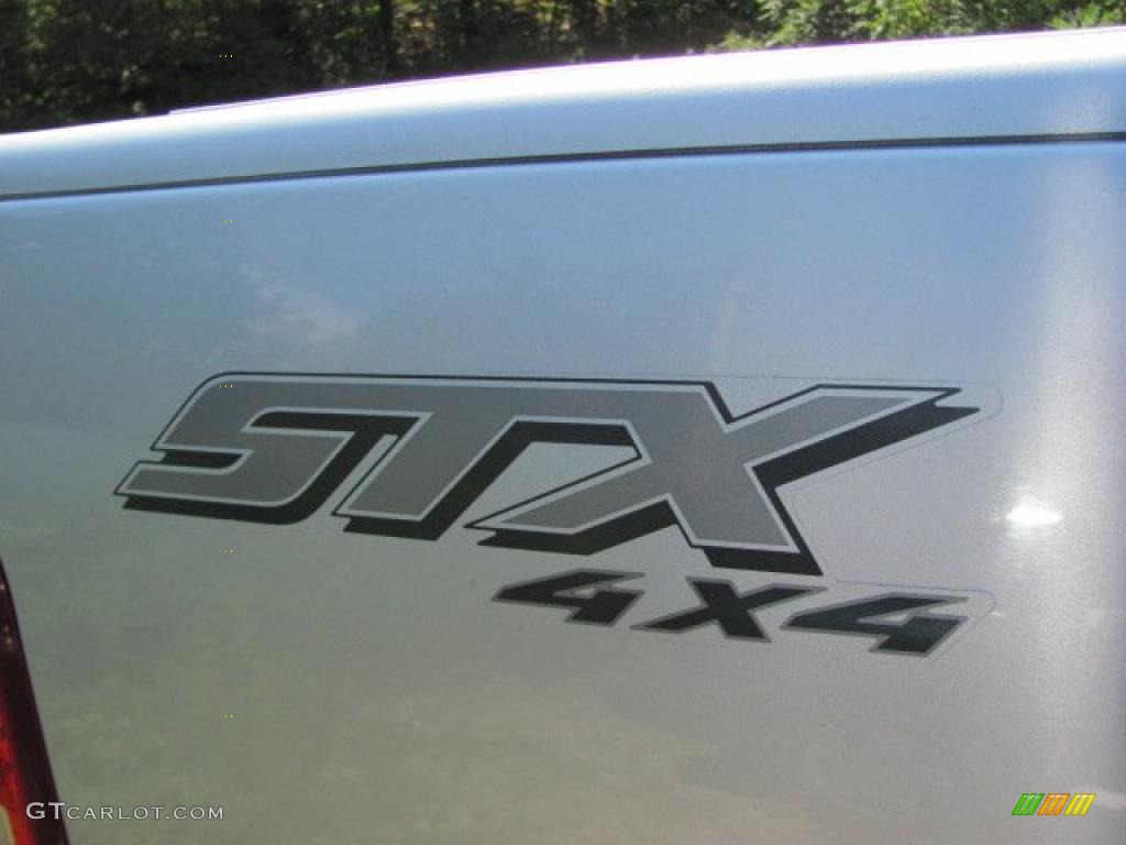 2004 F150 STX SuperCab 4x4 - Silver Metallic / Black/Medium Flint photo #5