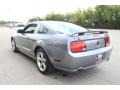 2006 Satin Silver Metallic Ford Mustang GT Premium Coupe  photo #15