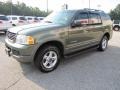 Estate Green Metallic - Explorer XLT Photo No. 3