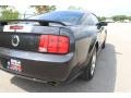 2007 Alloy Metallic Ford Mustang GT Premium Coupe  photo #13
