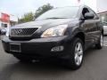 Flint Mica - RX 350 AWD Photo No. 3