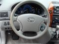 2008 Silver Shadow Pearl Toyota Sienna XLE  photo #12