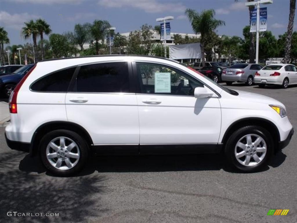 2009 CR-V EX-L - Taffeta White / Gray photo #8