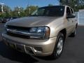 Sandstone Metallic - TrailBlazer LS 4x4 Photo No. 3