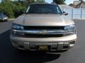 Sandstone Metallic - TrailBlazer LS 4x4 Photo No. 4