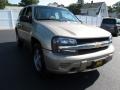 Sandstone Metallic - TrailBlazer LS 4x4 Photo No. 5