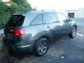Nimbus Gray Metallic - MDX Sport Photo No. 4