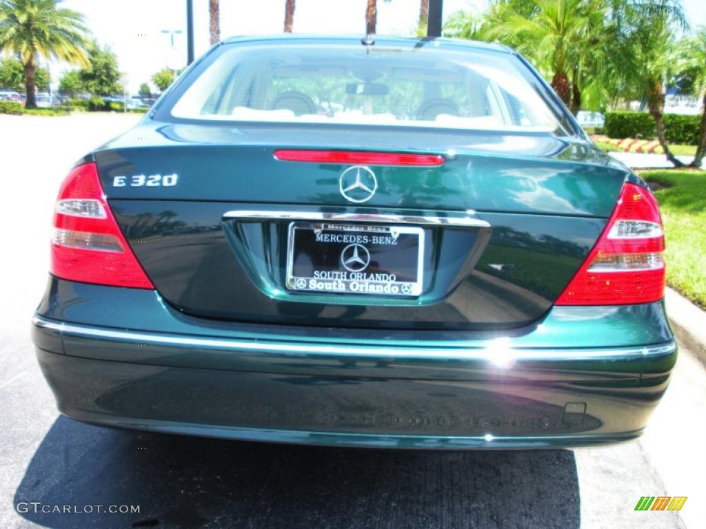 2003 E 320 Sedan - Everest Green Metallic / Java photo #7