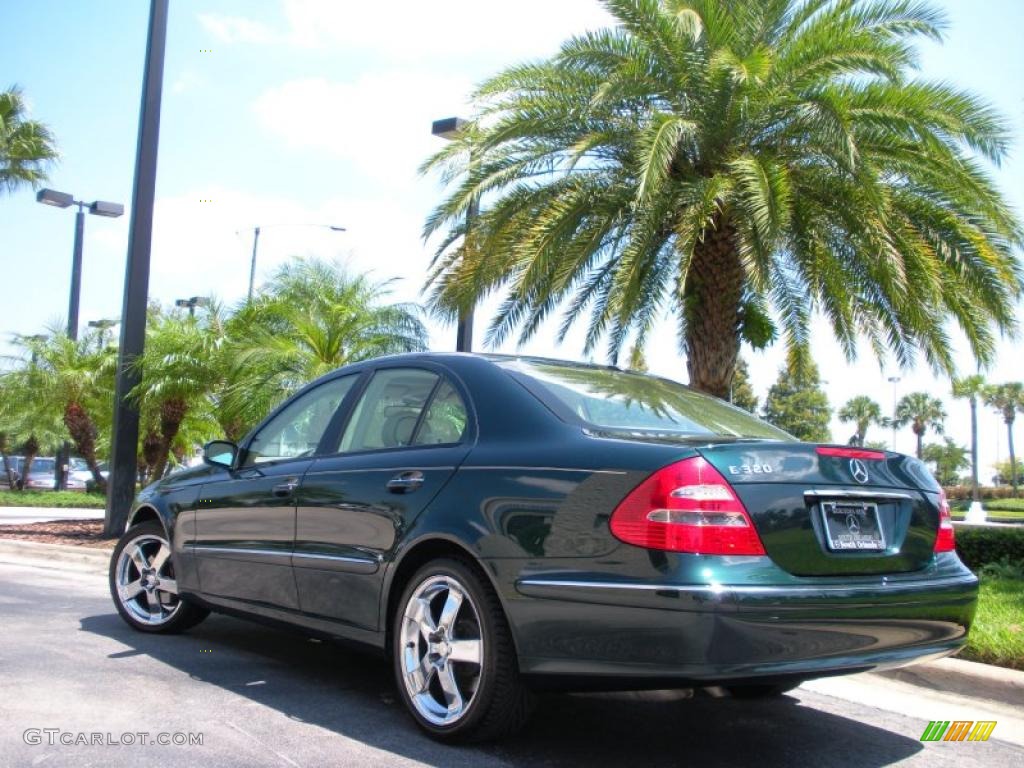 2003 E 320 Sedan - Everest Green Metallic / Java photo #8