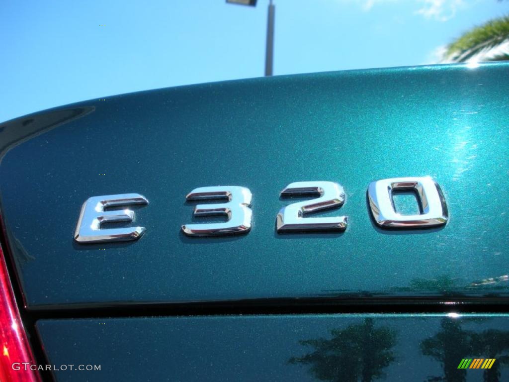 2003 E 320 Sedan - Everest Green Metallic / Java photo #9