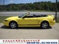 2002 Zinc Yellow Ford Mustang V6 Convertible  photo #6
