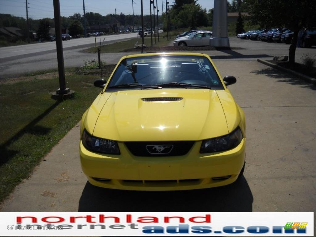 2002 Mustang V6 Convertible - Zinc Yellow / Dark Charcoal photo #15