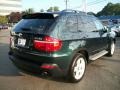 Deep Green Metallic - X5 xDrive30i Photo No. 5