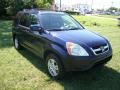 Eternal Blue Pearl - CR-V EX 4WD Photo No. 4