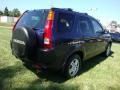 Eternal Blue Pearl - CR-V EX 4WD Photo No. 7