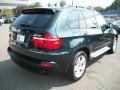 Deep Green Metallic - X5 xDrive30i Photo No. 5