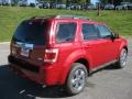 2010 Sangria Red Metallic Ford Escape Limited V6 4WD  photo #6