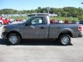 2010 Sterling Grey Metallic Ford F150 XL Regular Cab  photo #1