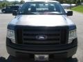 Sterling Grey Metallic - F150 XL Regular Cab Photo No. 3