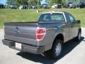 Sterling Grey Metallic - F150 XL Regular Cab Photo No. 6