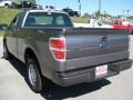 2010 Sterling Grey Metallic Ford F150 XL Regular Cab  photo #8