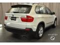 Alpine White - X5 3.0si Photo No. 2