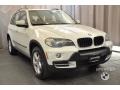 Alpine White - X5 3.0si Photo No. 7