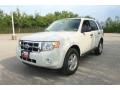 White Suede - Escape XLT V6 Photo No. 8
