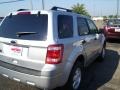 2010 Ingot Silver Metallic Ford Escape XLT  photo #4