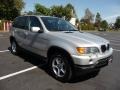 Titanium Silver Metallic - X5 3.0i Photo No. 2