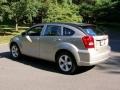 Light Sandstone Metallic - Caliber SXT Photo No. 7
