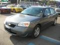 2006 Medium Gray Metallic Chevrolet Malibu LT Sedan  photo #14