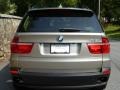 2007 Platinum Bronze Metallic BMW X5 3.0si  photo #6