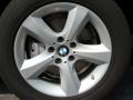 2007 Platinum Bronze Metallic BMW X5 3.0si  photo #31