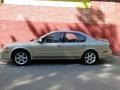 Sunlit Sand Metallic - Maxima SE Photo No. 2