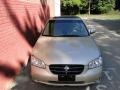 Sunlit Sand Metallic - Maxima SE Photo No. 4