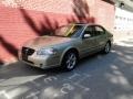 Sunlit Sand Metallic - Maxima SE Photo No. 5