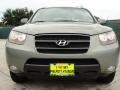 2007 Natural Khaki Green Hyundai Santa Fe Limited  photo #9